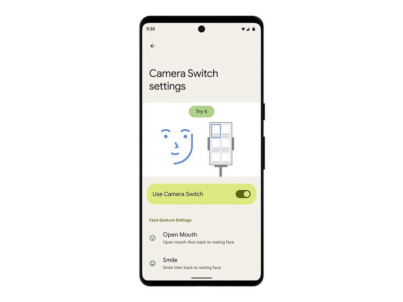Camera Switch settings showing face gesture mappings