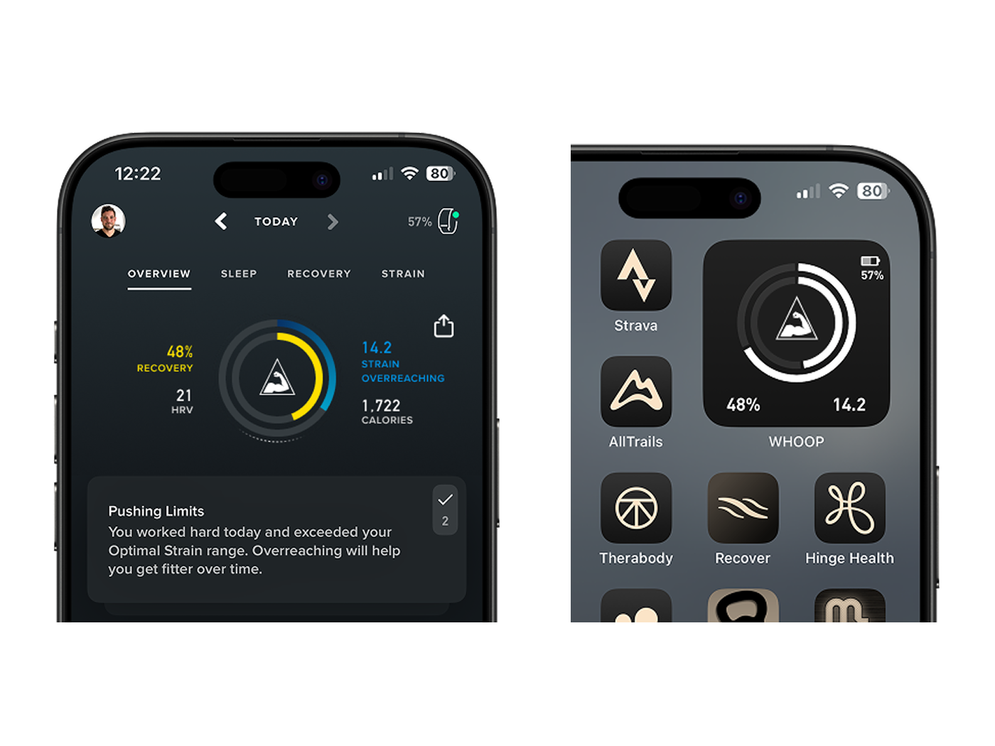 High fidelity icon mocks in WHOOP widget context