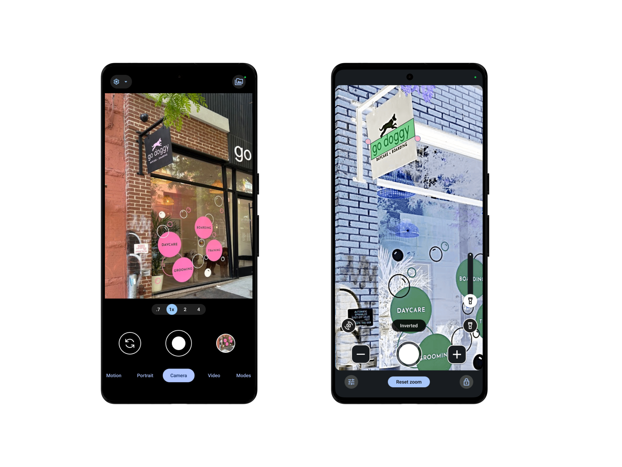 Camera vs. Magnifier